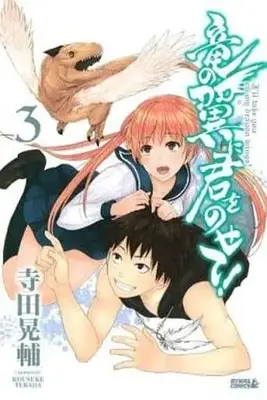 Manga Complete Set I'll take you on my dragon wings! (Ryuu no Tsubasa ni Kimi wo Nosete!) (3) (竜の翼に君をのせて! 全3巻セット / 寺田晃輔) 