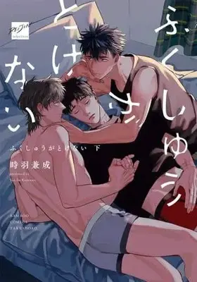 Manga Set Fukushuu ga Tokenai (2) (セット)ふくしゅうがとけない 上下巻)  / Tokiha Kanenari
