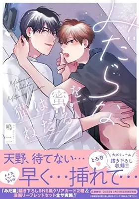 Manga Midara na Neko wa Mitsu wo Nedaru (みだらな猫は蜜をねだる (drap COMICS DX))  / Shimaji