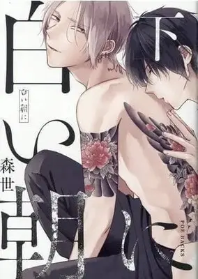 Manga Set Shiroi Asa ni (2) (セット)白い朝に 上下巻)  / Moriyo