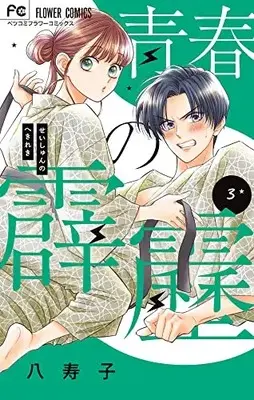 Manga Seishun no Hekireki vol.3 (青春の霹靂(3): フラワーコミックス)  / Yasuko