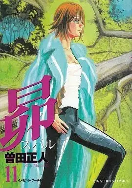 Manga Complete Set Subaru (Soda Masahito) (11) (昴スバル 全11巻セット) 