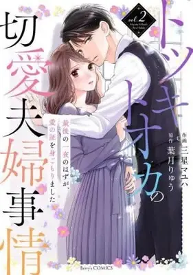 Manga Set Totsuki Tooka no Setsuai Fuufu Jijou (2) (トツキトオカの切愛夫婦事情～最後の一夜のはずが、愛の証を身ごもりました～ コミック 1-2巻セット)  / Mihoshi Mayuha