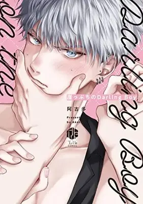 Manga Gakeppuchi no Darling Boy (崖っぷちのDarling Boy (Tulle Comics))  / Akota