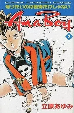 Manga Complete Set Am a Boy (2) (Am a Boy 全2巻セット / 立原あゆみ) 