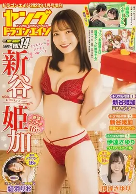 Magazine Young Dragon Age (ドラゴンエイジ2023年1月号増刊 ヤングドラゴンエイジ VOL.14) 