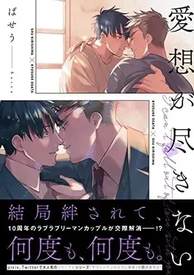 Manga Aiso Ga Tsukinai (愛想が尽きない (B's-LOVEY COMICS))  / Baseu