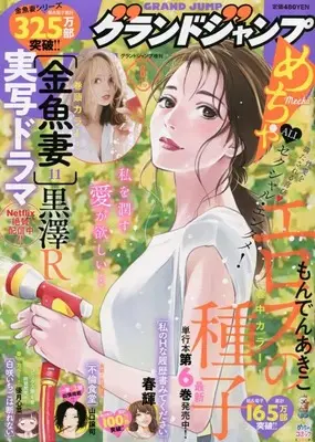 Magazine GRAND JUMP Mecha (グランドジャンプめちゃ 2022年 6/30 号 [雑誌]: グランドジャンプ 増刊) 
