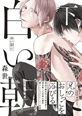Manga Shiroi Asa ni (白い朝に 下 (BABY コミックス))  / Moriyo