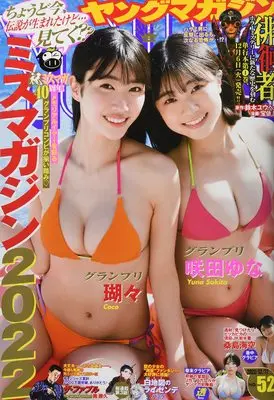 Magazine Young Magazine (ヤングマガジン 2022年 12/12 号 [雑誌]) 