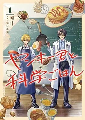 Manga Yankee-kun to Kagaku Gohan vol.1 (ヤンキー君と科学ごはん 1 (ヤングジャンプコミックス))  / Oka Kanato & 樋口 直哉