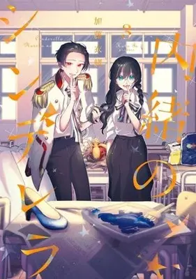 Manga Naisho no Cinderella vol.3 (内緒のシンデレラ(3)(完))  / 加藤衣緒