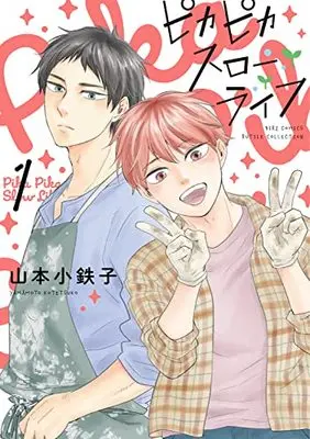 Manga Pika Pika Slow Life vol.1 (ピカピカスローライフ (1) (バーズコミックス ルチルコレクション))  / Yamamoto Kotetsuko