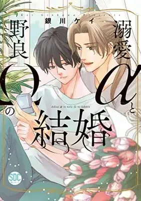 Manga Dekiai α to Nora Ω no Kekkon (溺愛αと野良Ωの結婚(秋水デジタルコミックス))  / Ginkawa Kei