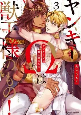 Manga Set Yankee Omega wa Juuou-sama no Mono! (3) (ヤンキーΩは獣王様のもの! コミック 全3巻セット)  / Kyuuma 564