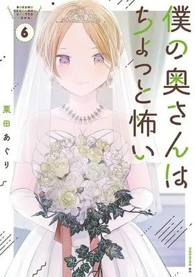 Manga Boku no Oku-San wa Chotto Kowai vol.6 (僕の奥さんはちょっと怖い(6) (モーニング KC))  / Kurita Aguri