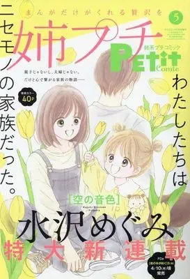 Magazine Ane kei PETIT comic (姉系プチコミック 2023年5月号) 