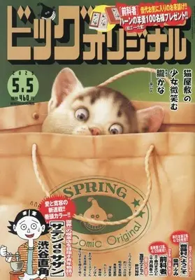 Magazine Big Comic Original (ビッグ オリジナル 2023年 5/5 号 [雑誌]) 