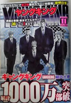 Magazine  (YOUNG KING(ヤングキング) (2013年6月3日号)) 