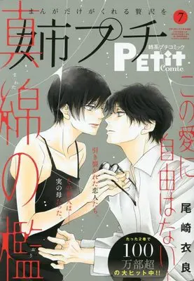 Magazine Ane kei PETIT comic (姉系プチコミック 2023年7月号 [雑誌]) 