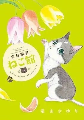 Manga Kinme Ginme Nekoyakata vol.3 (金目銀目ねこ館(3): ちゃおコミックス)  / Tatsuyama Sayuri
