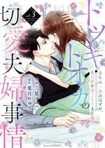 Manga Totsuki Tooka no Setsuai Fuufu Jijou vol.3 (トツキトオカの切愛夫婦事情(vol.3))  / Hazuki Ryu & Mihoshi Mayuha