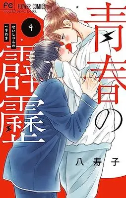 Manga Seishun no Hekireki vol.4 (青春の霹靂(4): フラワーコミックス)  / Yasuko