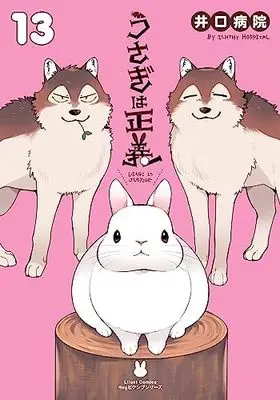 Manga Set Usagi wa Seigi (13) (うさぎは正義 コミック 全13巻セット)  / Iguchi Byouin