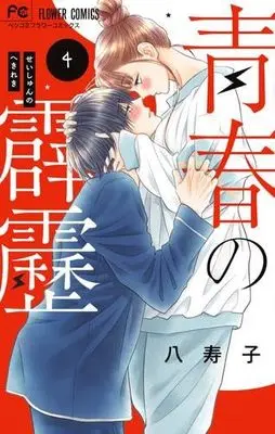 Manga Set Seishun no Hekireki (4) (青春の霹靂 コミック 1-4巻セット)  / Yasuko