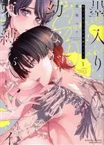 Manga Sumi-iri Osananajimi no Sokubaku ga Tsurai vol.1 (墨入り幼なじみの束縛がツライ(1))  / Aizen Mana