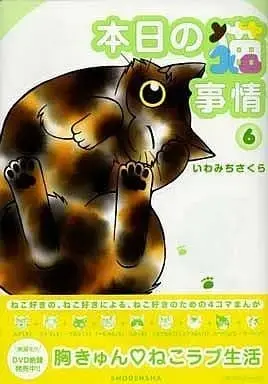 Manga Today's Cat Matters (Honjitsu no Neko jijou) vol.6 (本日の猫事情(6) / いわみちさくら) 