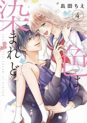 Manga Set Iro wa Somaredo (4) (色は染まれど コミック 全4巻セット)  / Shimada Chie