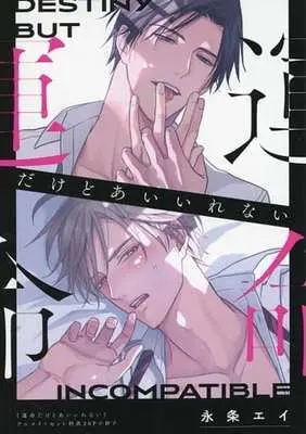 Manga appendix Unmeidakedo Ai Irenai (【小冊子】運命だけどあいいれない アニメイトセット特典20P小冊子)  / 永条エイ