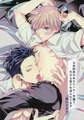 Manga Kyoudai Seido no aru Yankee Gakuen de, Kyou mo Chigiri wo Semararetemasu (【小冊子】兄弟制度のあるヤンキー学園で、今日も契りを迫られてます コミコミスタジオ Special Episode Book)  / Akai Shirafu