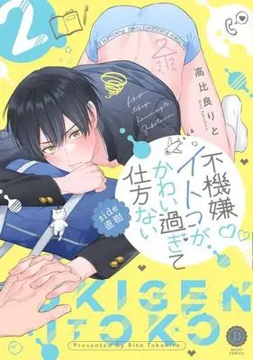 Manga Fukigen Itoko ga Kawaisugite Shikatanai: Side Naoki vol.2 (不機嫌イトコがかわい過ぎて仕方ない side直樹(2))  / Takahira Rito