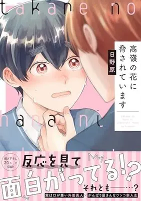 Manga Takane no Hana ni Odosareteimasu (高嶺の花に脅されています(仮) (Splushコミックス))  / Hinohara