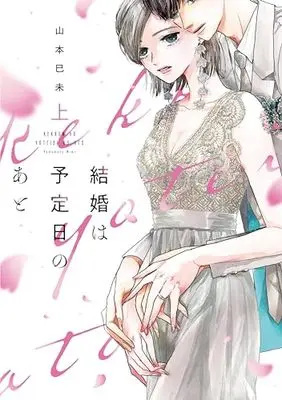 Manga Kekkon wa Yoteibi no Ato (結婚は予定日のあと 上 (Only Lips comicsめちゃコミックオリジナル))  / Yamamoto Mimi