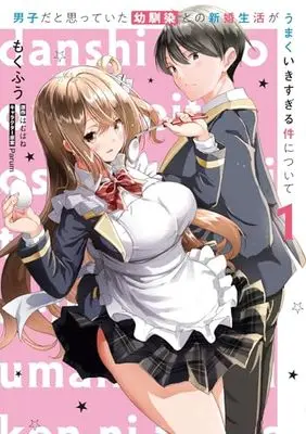 Manga Danshi da to Omotteita Osanajimi to no Shinkon Seikatsu ga Umaku Ikisugiru Ken ni Tsuite vol.1 (男子だと思っていた幼馴染との新婚生活がうまくいきすぎる件について(1) (電撃コミックスNEXT))  / Mokufuu