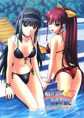 Official Fan Book Kimi ga Aruji de Shitsuji ga Ore de (君が主で執事が俺でオフィシャルファンブック (ツインテールブックス)) 
