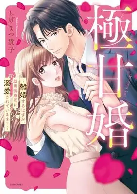 Manga Gokuama Kon - Rikon suru Hazu ga, Haraguro Onzoushi ni Dekiaisareteimasu!! (極甘婚 ~離婚するはずが、腹黒御曹司に溺愛されています!!~ (ASTRO COMICS))  / Shigematsu Takako