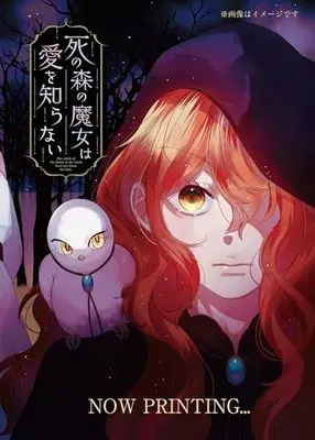 Manga Shi no Mori no Majo wa Ai wo Shiranai vol.1 (死の森の魔女は愛を知らない 1 (MFコミックス ジーンシリーズ))  / Tobo