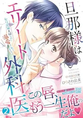 Manga Danna-sama wa Elite Gekai - Karisome Fuufu na no ni Dekiaisaretemasu vol.2 (旦那様はエリート外科医~かりそめ夫婦なのに溺愛されてます~ 2 (マーマレードコミックス, CMMBL80))  / ひらさわ公美