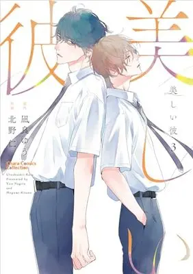 Manga Utsukushii Kare (My Beautiful Man) vol.3 (美しい彼(3) (Charaコミックス))  / Kitano Megumi