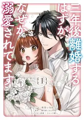 Manga Sannengo Rikon suru Hazu ga, Naze ka Dekiaisaretemasu vol.1 (三年後離婚するはずが、なぜか溺愛されてます 1巻 (1) (ZERO-SUMコミックス))  / Sakamiya Iroha