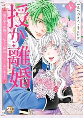 Manga Sazuka Rikon vol.5 (授か離婚Ⅴ(秋水デジタルコミックス))  / Kanbe Akira