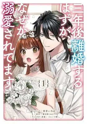 Manga Sannengo Rikon suru Hazu ga, Naze ka Dekiaisaretemasu vol.1 (三年後離婚するはずが、なぜか溺愛されてます(1))  / Sakamiya Iroha
