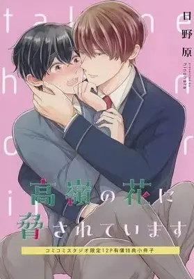 Manga appendix Takane no Hana ni Odosareteimasu (【小冊子】高嶺の花に脅されています コミコミスタジオ有償特典小冊子)  / Hinohara