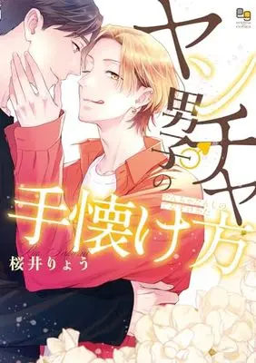 Manga Yancha Danshi no Tenazuke Kata (ヤンチャ男子の手懐け方 (enigma comics))  / Sakurai Ryou