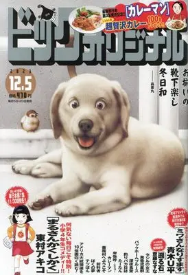 Magazine Big Comic Original (ビッグ オリジナル 2023年 12/5 号 [雑誌]) 