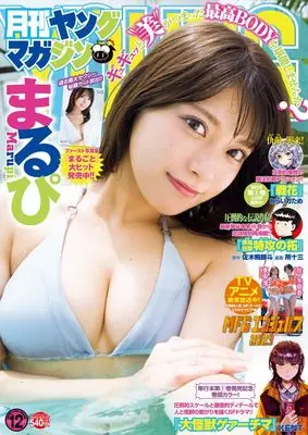 Magazine Monthly Young Magazine (月刊ヤングマガジン 2023年 12/6 号 [雑誌]: ヤングマガジン 増刊) 